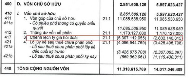 Tỷ giá tác động đến doanh nghiệp quý 2: Nhiều DN lỗ, ACV, VGI lãi - Ảnh 2.