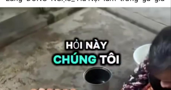 Hiệp hội Gia cầm Việt Nam lên tiếng về thông tin "trứng gà giả"