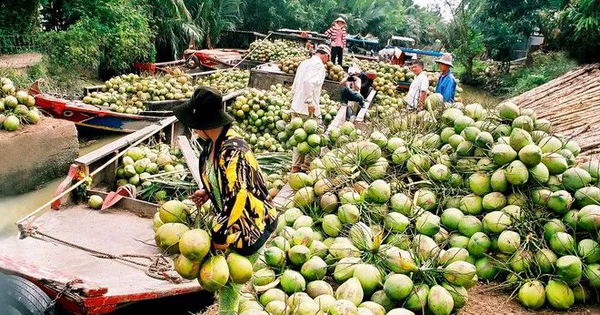 Khai phá thị trường mới, tiếp tục đưa trái cây Việt lên kệ hàng quốc tế
