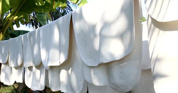Hàng nghìn tấn 'vàng trắng' của Việt Nam được Mỹ mua với giá đắt đỏ: 1/3 thế giới ưa chuộng, nước ta nắm giữ diện tích trồng hơn 900.000 ha