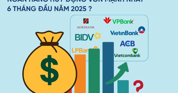 Ngân hàng tư nhân duy nhất hút tiền gửi hơn cả VietinBank và Vietcombank trong nửa đầu năm
