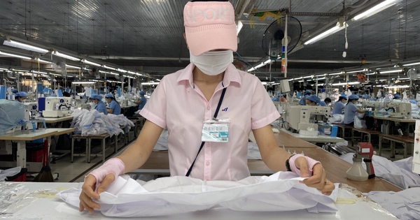 Chậm đóng BHXH quá hạn bao lâu sẽ bị coi là trốn đóng?