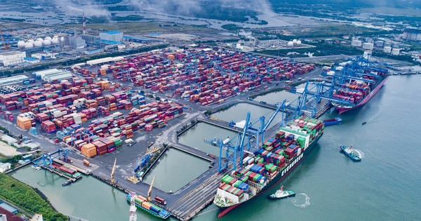 Sớm hình thành Khu Thương mại tự do Cái Mép Hạ quy mô 3.764 ha