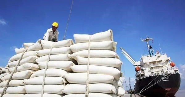Gạo Việt Nam phi mã bất chấp Ấn Độ xả kho, giá thế giới lao dốc