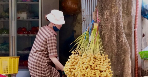 Chà là tươi Thái Lan giá rẻ bán khắp Hà Nội
