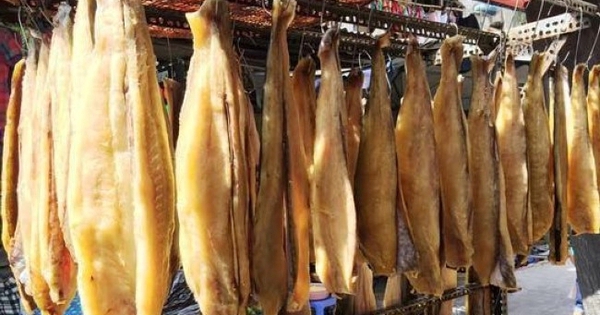Cả thế giới tranh nuôi nhưng chỉ Việt Nam tạo nên ngành công nghiệp tỷ đô từ 'mỏ vàng' này: chiếm 90% thị phần toàn cầu, Mỹ và Trung Quốc chốt đơn cực khủng