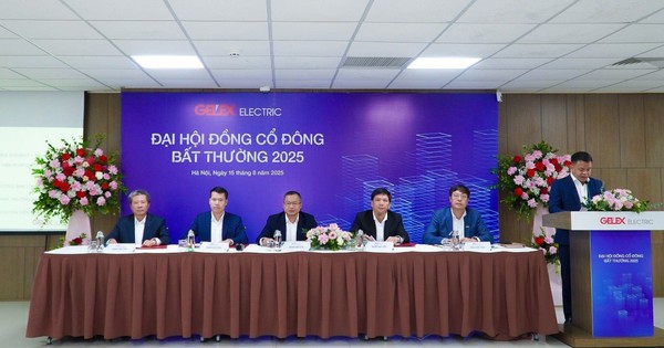 Lãnh đạo GELEX Electric (GEE) trả lời cổ đông về tin chuyển nhượng cổ phần cho đối tác ngoại
