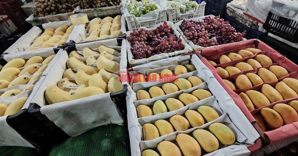 Bất ngờ về lượng xoài Trung Quốc về chợ TP HCM