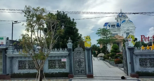 Thuế phong tỏa tài khoản chủ 'tòa nhà đẹp nhất Cà Mau'