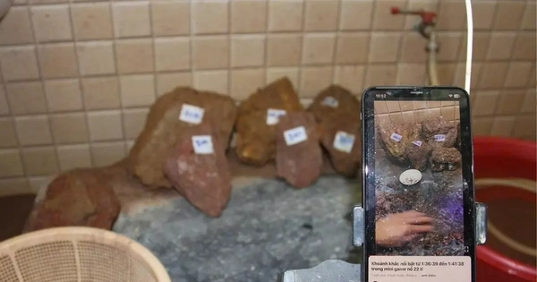 Livestream lừa bán đá thô đục ra có đá qúy, nhóm đối tượng ở Lào Cai cuỗm 10 tỷ đồng