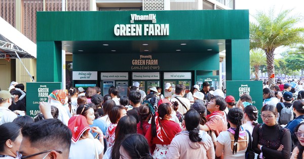 Mang thương hiệu Việt vươn ra toàn cầu, nhưng đóng góp trực tiếp của Vinamilk cho đất nước nằm ở đây