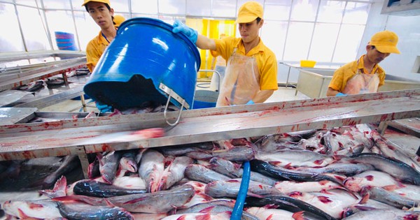 Báu vật dưới nước của Việt Nam: Cán mốc hơn tỷ đô; một doanh nghiệp Việt cung ứng 300.000 tấn/năm