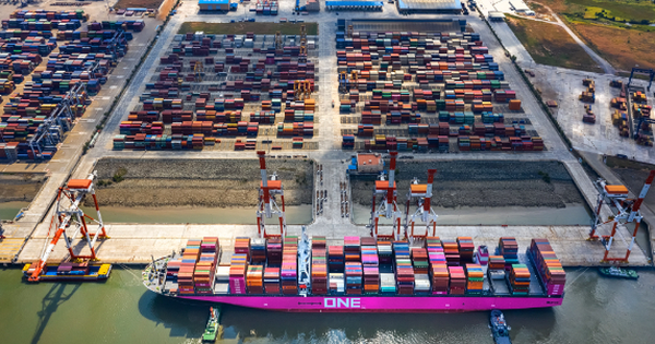 Mỹ vừa chi hơn 5 tỷ USD ‘chốt đơn’ một mặt hàng chiến lược của Việt Nam: Nước ta đứng thứ 2 thế giới về xuất khẩu, đang là bạn hàng của hơn 150 quốc gia