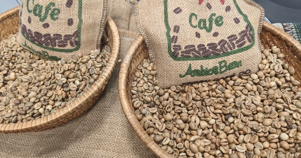 Giá cà phê hôm nay 28-8: Khó tin, Robusta tăng mạnh phiên thứ 6 liên tiếp