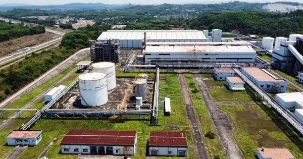 Triển khai xăng E10: Canh bạc mạo hiểm với các dự án ethanol ‘đắp chiếu’?