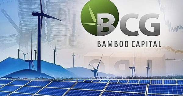 Cổ phiếu “họ” Bamboo Capital tăng bứt phá, đồng loạt hút mạnh dòng tiền từ nhà đầu tư