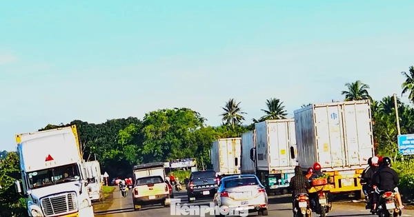 Xe container rồng rắn đi thu mua sầu riêng