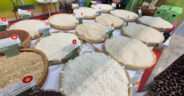 Lại lo đầu ra cho gạo