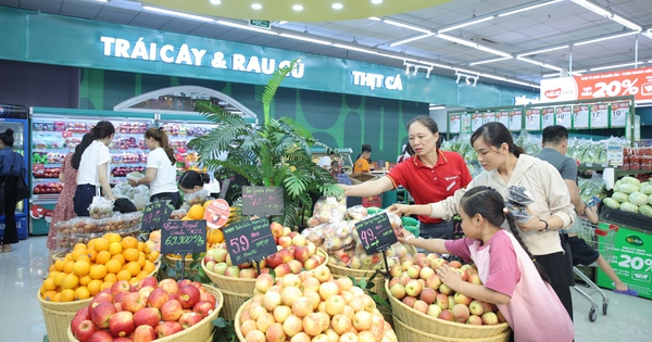 Chiến lược tăng trưởng có lợi nhuận: bước đi dài hạn của Masan