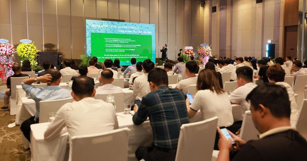Hạ Tầng Đô Thị Corporation công bố thông tin dự án Bung Goi Verdura Estate