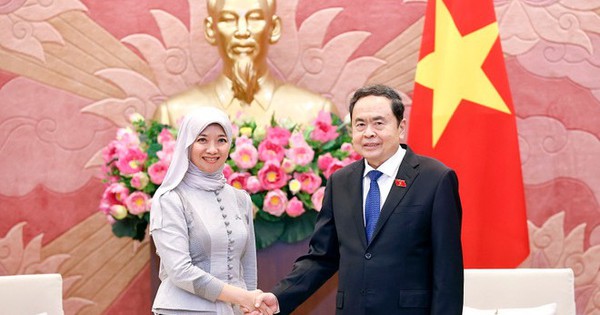 Việt Nam là thành viên tích cực, trách nhiệm trong AIPA