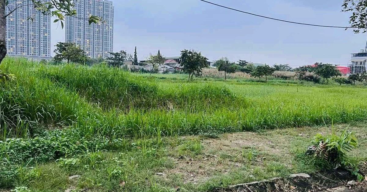 Đẩy nhanh định giá đất cho doanh nghiệp