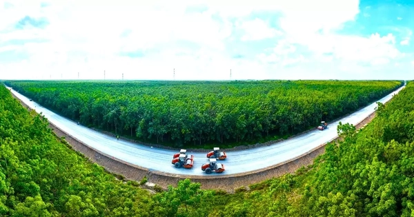 Chốt hạn về đích 2 tuyến đường kết nối trọng điểm phía Nam