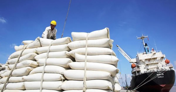 Giá gạo Việt Nam chạm mức cao nhất trong tám tháng