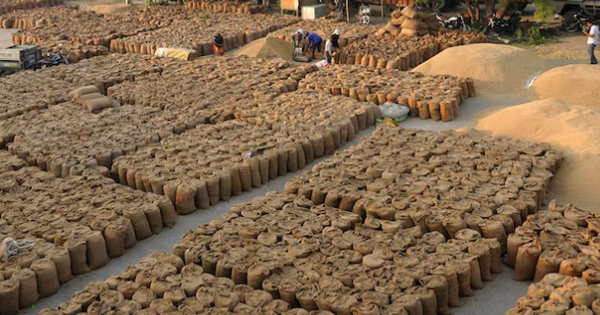 Một ‘mỏ vàng’ của Việt Nam đang được các quốc gia châu Phi đua nhau săn lùng: Xuất khẩu đứng thứ 2 thế giới, nước ta liên tục đe dọa ngôi vương của Thái Lan