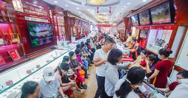 Có tiền không mua nổi vàng, tóm lại chuyện gì đang xảy ra?