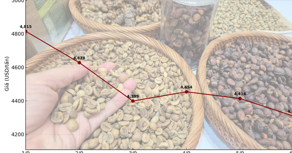 Giá cà phê hôm nay 6-9: Giảm 3 con số, tương lai thế nào?