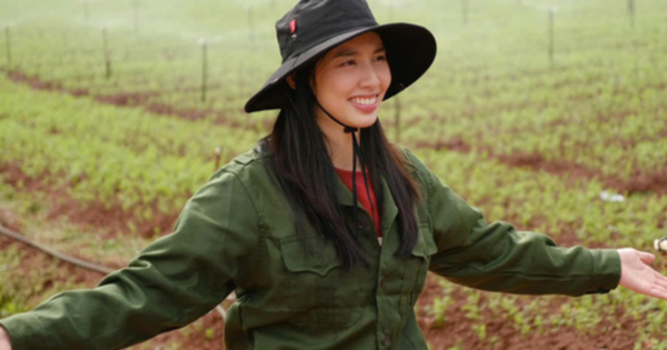 Công ty Sen Vàng đề nghị truyền thông đưa tin chính xác vụ việc Thùy Tiên và kẹo rau Kera