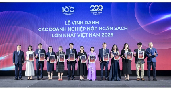 Đóng góp hàng nghìn tỷ đồng, nhiều ngân hàng được vinh danh trong nhóm doanh nghiệp nộp ngân sách lớn nhất Việt Nam