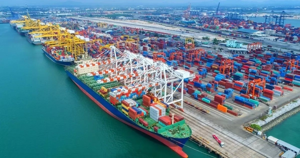 Ba cảng biển Việt Nam lọt top lớn nhất thế giới, xếp loại đặc biệt