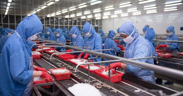 "Đại gia" tôm báo doanh thu tháng 8 tăng 32%, cao nhất kể từ đầu năm, cẩn thận trích lập gần 100 tỷ cho 3 loại thuế mới tại thị trường Mỹ