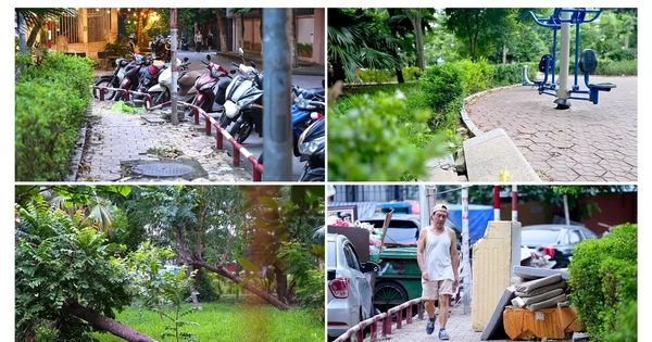 Cảnh hoang tàn, xuống cấp tại vườn hoa 52 tỷ ở Hà Nội
