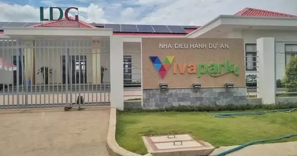 Cổ phiếu công ty LDG bị giữ nguyên diện kiểm soát