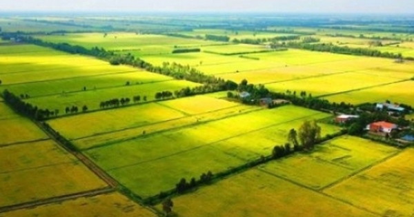 Đề xuất giảm tiền sử dụng đất khi chuyển đổi đất vườn thành đất ở