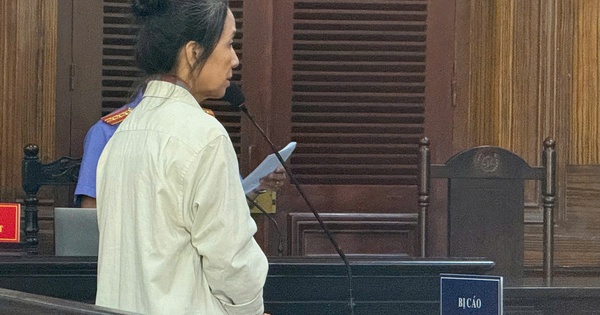 Nữ kế toán chiếm đoạt hơn 18,7 tỉ đồng