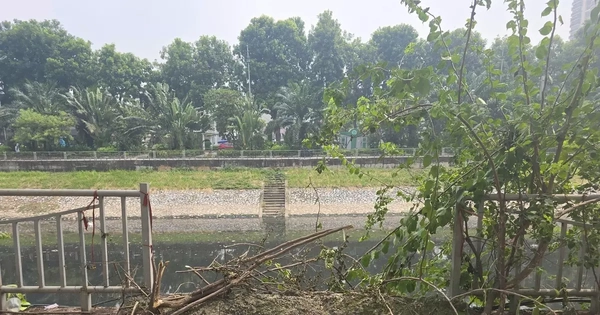 Hà Nội 'thúc' tiến độ hoàn trả lan can, hè phố, kè sông Tô Lịch