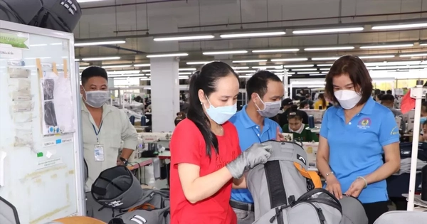 Sắp tổng điều tra kinh tế toàn quốc