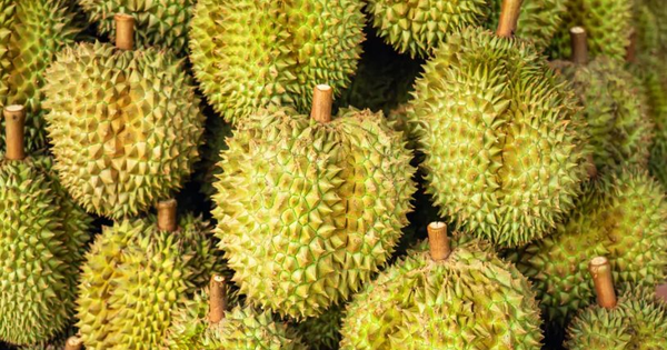 Quyết lấy lại thị phần tại Trung Quốc, một ông lớn Thái Lan chuẩn bị ra mắt xôi sầu riêng ăn liền, sẽ mở rộng sang cả thị trường châu Âu