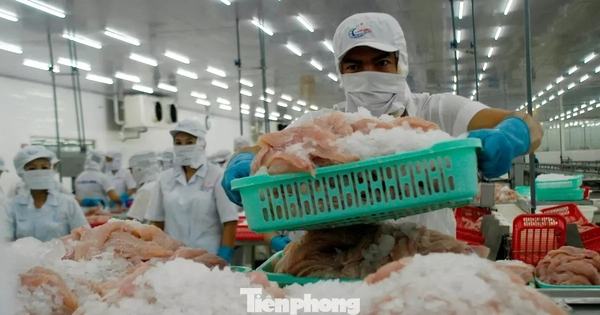 Thách thức thuế Mỹ là ‘phép thử’ quan trọng với doanh nghiệp