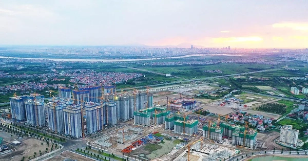 Giá căn hộ cũ, mới đồng loạt tăng giá