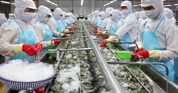 "Vua tôm" Việt Nam lập công ty con tại Australia