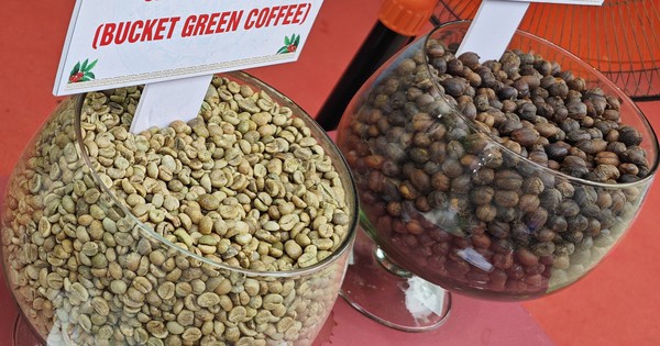 Giá cà phê hôm nay 25-9: Arabica, Robusta quay đầu tăng vọt