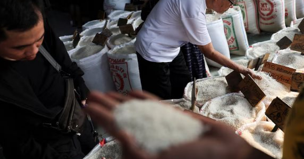 Buồn của quốc gia Đông Nam Á là 'khách ruột' của gạo Việt: Người dân bàng hoàng vì giá đắt đỏ, nguồn cung gạo chất lượng cao khan hiếm