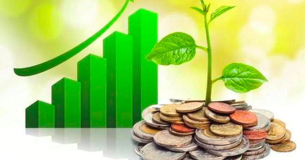 Lịch chốt quyền cổ tức 29/9– 3/10: Cổ tức tiền mặt cao nhất 480%, Techcombank, Vĩnh Hoàn, Viettel Post đồng loạt "lăn chốt"