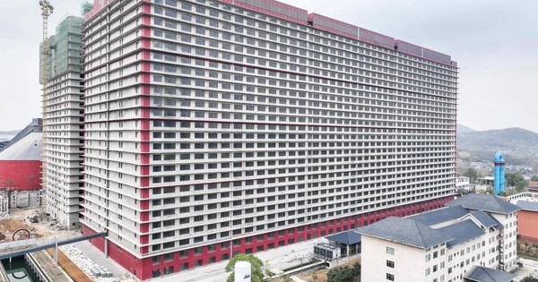 Lần đầu tiên VN hợp tác với TQ về “cách làm hay” trong 1 lĩnh vực dự kiến thu về 10.000 tỷ đồng mỗi năm