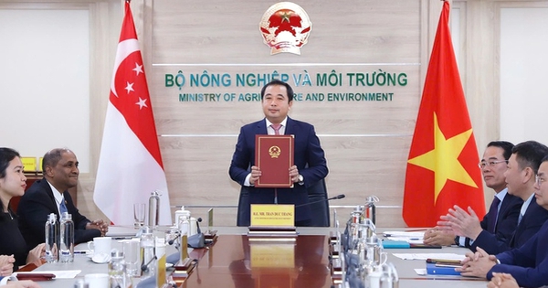 Việt Nam và Singapore vừa ký kết chiến lược, liên quan thị trường ước đạt 250 tỷ USD: "Bùng nổ" năm 2050